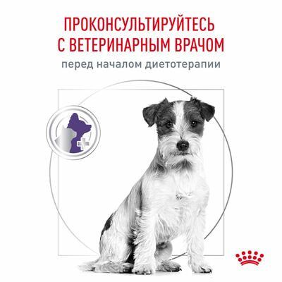   Royal Canin Royal Canin Neutered Adult Small Dog    /   , , 2   800  (,  6)