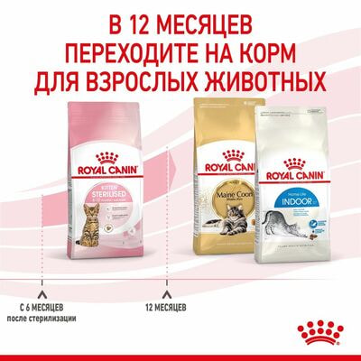 Сухие корма Royal Canin Корм для стерилизованных котят Royal Canin Kitten Sterilised Корм сухой сбалансированный, 2 шт по 400 г (вид 7) Сухие корма Royal Canin Корм для стерилизованных котят Royal Canin Kitten Sterilised Корм сухой сбалансированный, 2 шт по 400 г (фото, вид 7)