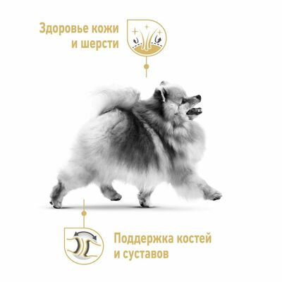  Royal Canin    Royal Canin Pomeranian Adult        , 2   500  (,  6)