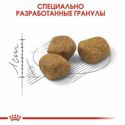 Сухие корма Royal Canin Корм сухой сбалансированный Royal Canin Indoor 7+ для стареющих кошек, живущих в помещении, 2 шт по 400 г (вид 5) Сухие корма Royal Canin Корм сухой сбалансированный Royal Canin Indoor 7+ для стареющих кошек, живущих в помещении, 2 шт по 400 г (фото, вид 5)