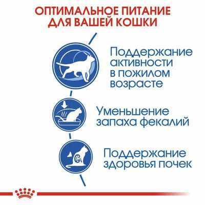 Сухие корма Royal Canin Корм сухой сбалансированный Royal Canin Indoor 7+ для стареющих кошек, живущих в помещении, 2 шт по 400 г (вид 6) Сухие корма Royal Canin Корм сухой сбалансированный Royal Canin Indoor 7+ для стареющих кошек, живущих в помещении, 2 шт по 400 г (фото, вид 6)