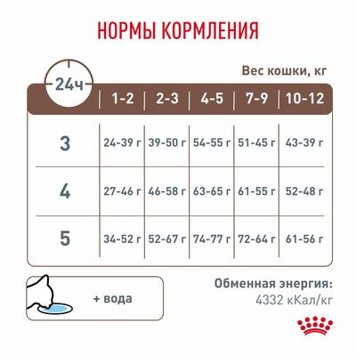 Сухие корма Royal Canin Royal Canin GASTROINTESTINAL KITTEN Корм сухой полнорационный диетический для котят в возрасте от 2 до 2 месяцев при нарушениях пищеварения. Ветеринарная диета 2 шт по 400 г (вид 7) Сухие корма Royal Canin Royal Canin GASTROINTESTINAL KITTEN Корм сухой полнорационный диетический для котят в возрасте от 2 до 2 месяцев при нарушениях пищеварения. Ветеринарная диета 2 шт по 400 г (фото, вид 7)