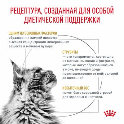 Сухие корма Royal Canin Royal Canin Urinary S/O Moderate Calorie Корм сухой полнорационный диетический для взрослых кошек предрасположенных к набору лишнего веса при мочекаменной болезни, 2 шт по 400 г (вид 2) Сухие корма Royal Canin Royal Canin Urinary S/O Moderate Calorie Корм сухой полнорационный диетический для взрослых кошек предрасположенных к набору лишнего веса при мочекаменной болезни, 2 шт по 400 г (фото, вид 2)