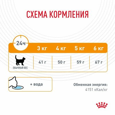   Royal Canin      Royal Canin Hair&amp;Skin Care      , 2   400  (,  7)