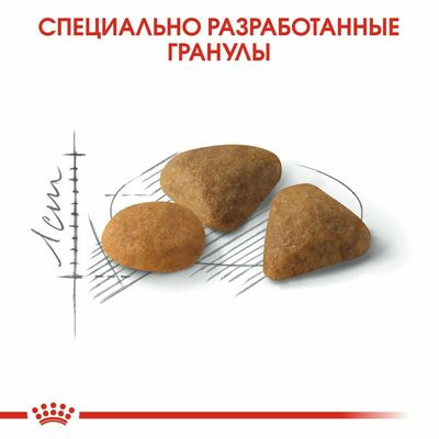 Сухие корма Royal Canin Корм для кошек Royal Canin Savour Exigent Корм сухой сбалансированный для привередливых взрослых кошек от 1 года, 2 кг (вид 6) Сухие корма Royal Canin Корм для кошек Royal Canin Savour Exigent Корм сухой сбалансированный для привередливых взрослых кошек от 1 года, 2 кг (фото, вид 6)
