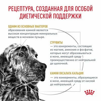 Сухие корма Royal Canin Royal Canin Urinary S/O LP 18 Canine Корм для взрослых собак при мочекаменной болезни, сухой диетический, 2 кг (вид 2) Сухие корма Royal Canin Royal Canin Urinary S/O LP 18 Canine Корм для взрослых собак при мочекаменной болезни, сухой диетический, 2 кг (фото, вид 2)