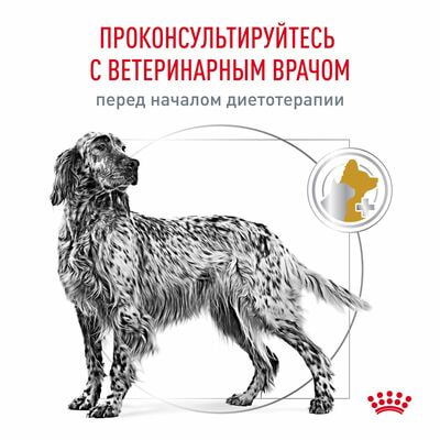 Сухие корма Royal Canin Royal Canin Urinary S/O LP 18 Canine Корм для взрослых собак при мочекаменной болезни, сухой диетический, 2 кг (вид 3) Сухие корма Royal Canin Royal Canin Urinary S/O LP 18 Canine Корм для взрослых собак при мочекаменной болезни, сухой диетический, 2 кг (фото, вид 3)
