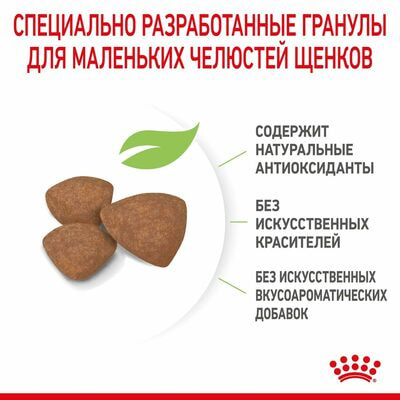 Сухие корма Royal Canin Корм сухой для щенков мелких пород в возрасте до 10 месяцев Royal Canin Mini Puppy, 2 кг (вид 4) Сухие корма Royal Canin Корм сухой для щенков мелких пород в возрасте до 10 месяцев Royal Canin Mini Puppy, 2 кг (фото, вид 4)