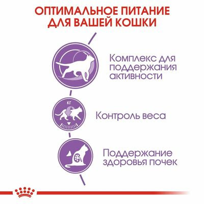Сухие корма Royal Canin Корм для стерилизованных кошек Royal Canin Sterilised 7+ Корм сухой сбалансированный, 2 шт по 400 г (вид 5) Сухие корма Royal Canin Корм для стерилизованных кошек Royal Canin Sterilised 7+ Корм сухой сбалансированный, 2 шт по 400 г (фото, вид 5)