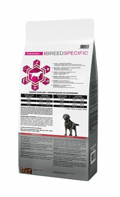 Сухие корма Eukanuba Сухой корм для собак Eukanuba с птицей для взрослых собак породы лабрадор ретривер от года,10 кг (вид 1) Сухие корма Eukanuba Сухой корм для собак Eukanuba с птицей для взрослых собак породы лабрадор ретривер от года,10 кг (фото, вид 1)