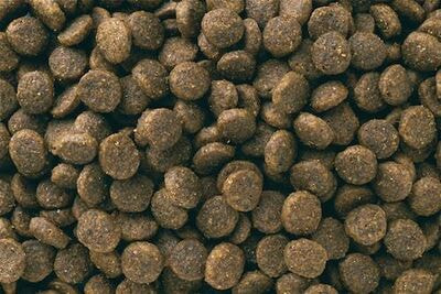   Eukanuba       Eukanuba  , 3  (,  4)