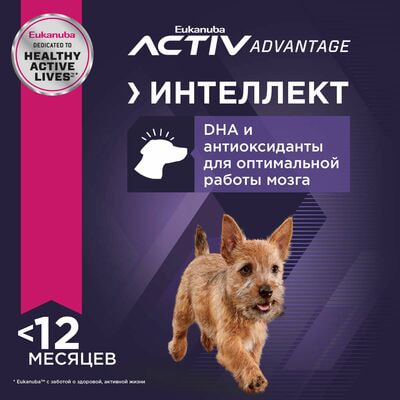   Eukanuba       Eukanuba  , 3  (,  5)