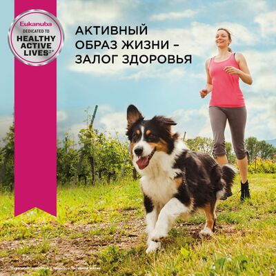 Сухие корма Eukanuba Сухой корм для взрослых собак миниатюрных пород Eukanuba с птицей, 1,5 кг (вид 8) Сухие корма Eukanuba Сухой корм для взрослых собак миниатюрных пород Eukanuba с птицей, 1,5 кг (фото, вид 8)