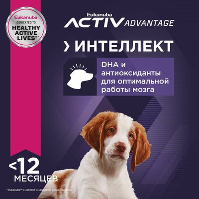 Сухие корма Eukanuba Сухой корм для щенков средних пород Eukanuba с птицей, 2 шт по 800 г (вид 5) Сухие корма Eukanuba Сухой корм для щенков средних пород Eukanuba с птицей, 2 шт по 800 г (фото, вид 5)