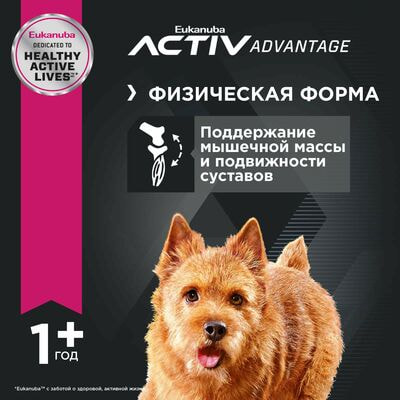 Сухие корма Eukanuba Сухой корм для взрослых собак мелких пород Eukanuba с птицей, 15 кг (вид 5) Сухие корма Eukanuba Сухой корм для взрослых собак мелких пород Eukanuba с птицей, 15 кг (фото, вид 5)
