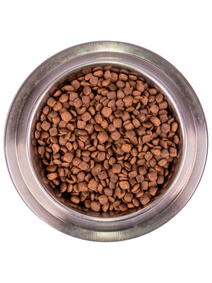   Monge   Monge Dog BWild GRAIN FREE Puppy & Junior  , ,      12  (,  3)