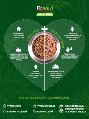 Повседневные корма Monge Сухой корм Monge Dog BWild GRAIN FREE для взрослых собак, беззерновой, утка с картофелем 12 кг (вид 5) Повседневные корма Monge Сухой корм Monge Dog BWild GRAIN FREE для взрослых собак, беззерновой, утка с картофелем 12 кг (фото, вид 5)