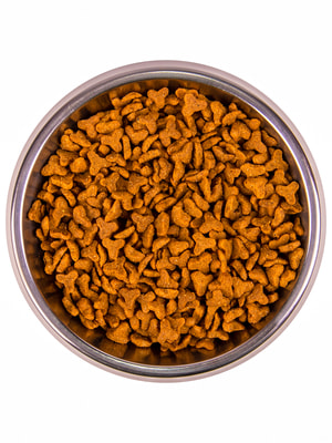 Повседневные корма Monge Сухой корм Monge Cat Daily Line Senior для пожилых кошек, с курицей 400 г (вид 4) Повседневные корма Monge Сухой корм Monge Cat Daily Line Senior для пожилых кошек, с курицей 400 г (фото, вид 4)