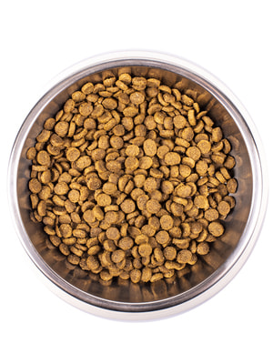 Повседневные корма Monge Сухой корм Monge Cat Daily Line для котят и беременных кошек, из курицы 400 г (вид 4) Повседневные корма Monge Сухой корм Monge Cat Daily Line для котят и беременных кошек, из курицы 400 г (фото, вид 4)