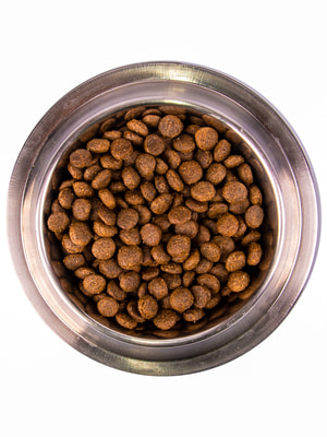   Monge   Monge Dog Daily Line Maxi    ,   3  (,  4)