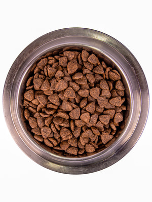   Monge   Monge Dog Daily Line Medium     ,   3  (,  4)