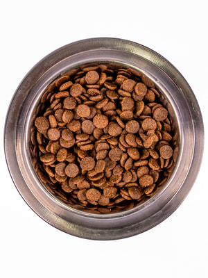 Повседневные корма Monge Сухой корм Monge Dog Daily Line Medium для щенков средних пород, из курицы 12 кг (вид 4) Повседневные корма Monge Сухой корм Monge Dog Daily Line Medium для щенков средних пород, из курицы 12 кг (фото, вид 4)