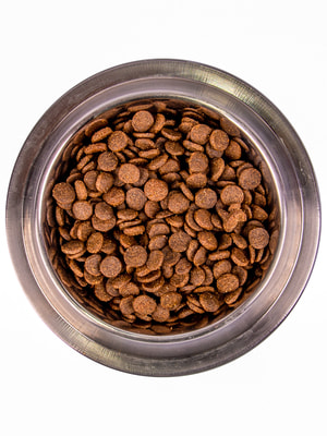   Monge   Monge Dog Daily Line Medium    ,   800  (,  4)