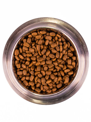 Повседневные корма Monge Сухой корм Monge Dog Daily Line Mini для взрослых собак мелких пород, из курицы 800 г (вид 4) Повседневные корма Monge Сухой корм Monge Dog Daily Line Mini для взрослых собак мелких пород, из курицы 800 г (фото, вид 4)