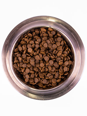   Monge   Monge Dog Daily Line Mini    ,   800  (,  4)