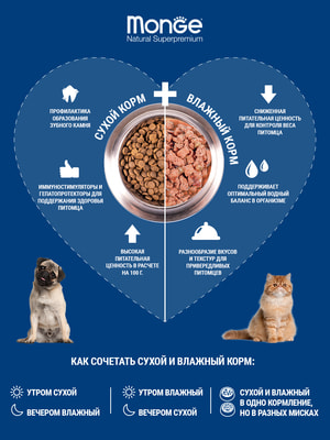 Повседневные корма Monge Сухой корм Monge Dog Speciality Line Monoprotein для взрослых собак всех пород, из кролика с рисом и картофелем 12 кг (вид 8) Повседневные корма Monge Сухой корм Monge Dog Speciality Line Monoprotein для взрослых собак всех пород, из кролика с рисом и картофелем 12 кг (фото, вид 8)