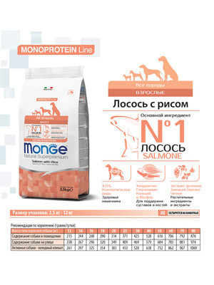 Повседневные корма Monge Сухой корм Monge Dog Speciality Line Monoprotein для взрослых собак всех пород, из лосося с рисом 2,5 кг (вид 1) Повседневные корма Monge Сухой корм Monge Dog Speciality Line Monoprotein для взрослых собак всех пород, из лосося с рисом 2,5 кг (фото, вид 1)