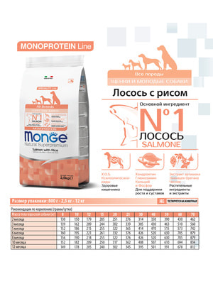 Повседневные корма Monge Сухой корм Monge Dog Speciality Line Puppy&Junior корм для щенков всех пород, из лосося с рисом 800 г (вид 1) Повседневные корма Monge Сухой корм Monge Dog Speciality Line Puppy&Junior корм для щенков всех пород, из лосося с рисом 800 г (фото, вид 1)