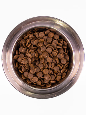 Повседневные корма Monge Сухой корм Monge Dog Speciality Line Puppy&Junior корм для щенков всех пород, из лосося с рисом 800 г (вид 3) Повседневные корма Monge Сухой корм Monge Dog Speciality Line Puppy&Junior корм для щенков всех пород, из лосося с рисом 800 г (фото, вид 3)