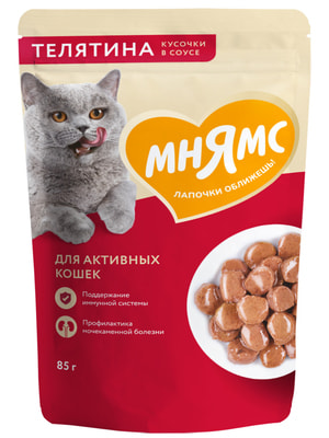 Повседневные корма Мнямс Влажный корм Мнямс Кусочки в соусе с телятиной для активных кошек 85г Повседневные корма Мнямс Влажный корм Мнямс Кусочки в соусе с телятиной для активных кошек 85г (фото)