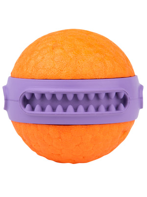    Mr.Kranch  Mr.Kranch      6   ()