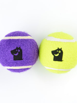Апортировки Mr.Kranch Игрушка Mr.Kranch для собак Теннисный мяч малый 5 см набор 2 шт. желтый/фиолетовый Апортировки Mr.Kranch Игрушка Mr.Kranch для собак Теннисный мяч малый 5 см набор 2 шт. желтый/фиолетовый (фото)