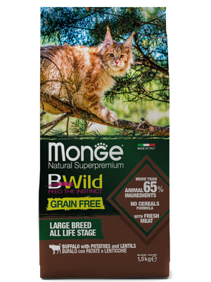 Повседневные корма Monge Сухой корм Monge Cat BWild GRAIN FREE для котят и крупных кошек, беззерновой, из мяса буйвола, 1,5 кг Повседневные корма Monge Сухой корм Monge Cat BWild GRAIN FREE для котят и крупных кошек, беззерновой, из мяса буйвола, 1,5 кг (фото)