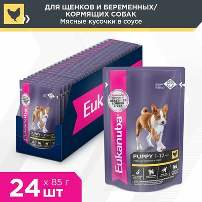 Влажные корма, консервы Eukanuba Влажный корм для щенков Eukanuba из курицы в соусе, 24 шт по 85 г Влажные корма, консервы Eukanuba Влажный корм для щенков Eukanuba из курицы в соусе, 24 шт по 85 г (фото)