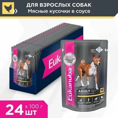 Влажные корма, консервы Eukanuba Влажный корм для взрослых собак всех пород Eukanuba из курицы в соусе, 24 шт по 100 г Влажные корма, консервы Eukanuba Влажный корм для взрослых собак всех пород Eukanuba из курицы в соусе, 24 шт по 100 г (фото)