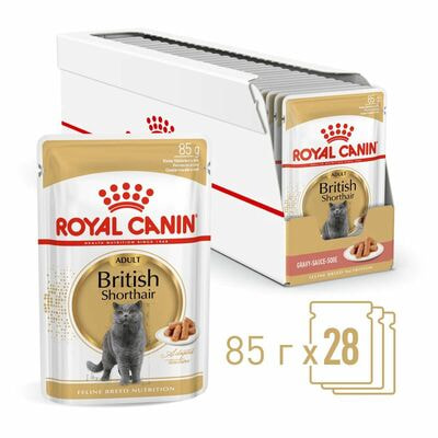 Влажные корма, консервы Royal Canin Корм для кошек Royal Canin British Shorthair Adult Корм для взрослых британских короткошерстных кошек, соус 28 шт по 85 г Влажные корма, консервы Royal Canin Корм для кошек Royal Canin British Shorthair Adult Корм для взрослых британских короткошерстных кошек, соус 28 шт по 85 г (фото)
