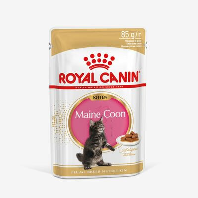 Влажные корма, консервы Royal Canin Royal Canin MAINE COON KITTEN. Корм консервированный полнорационный для котят породы Мэйн Кун до 15 месяцев, кусочки в соусе. 28 шт по 85 г Влажные корма, консервы Royal Canin Royal Canin MAINE COON KITTEN. Корм консервированный полнорационный для котят породы Мэйн Кун до 15 месяцев, кусочки в соусе. 28 шт по 85 г (фото)
