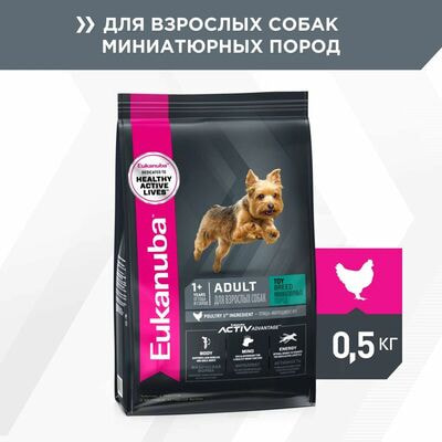 Сухие корма Eukanuba Сухой корм для взрослых собак миниатюрных пород Eukanuba с птицей, 2 шт по 500 г Сухие корма Eukanuba Сухой корм для взрослых собак миниатюрных пород Eukanuba с птицей, 2 шт по 500 г (фото)