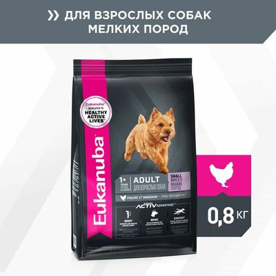 Сухие корма Eukanuba Сухой корм для взрослых собак мелких пород Eukanuba с птицей, 2 шт по 800 г Сухие корма Eukanuba Сухой корм для взрослых собак мелких пород Eukanuba с птицей, 2 шт по 800 г (фото)