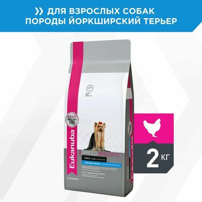 Сухие корма Eukanuba Сухой корм для собак Eukanuba Dog Yorkshire Terrier Сухой для взрослых собак породы йоркширский терьер от года с птицей, 2 кг Сухие корма Eukanuba Сухой корм для собак Eukanuba Dog Yorkshire Terrier Сухой для взрослых собак породы йоркширский терьер от года с птицей, 2 кг (фото)