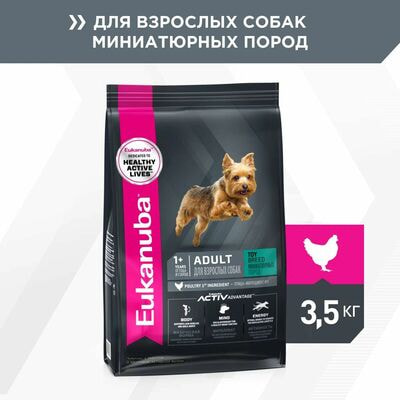 Сухие корма Eukanuba Сухой корм для взрослых собак миниатюрных пород Eukanuba с птицей, 3,5 кг Сухие корма Eukanuba Сухой корм для взрослых собак миниатюрных пород Eukanuba с птицей, 3,5 кг (фото)