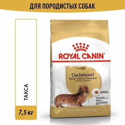 Сухие корма Royal Canin Корм сухой Royal Canin Dashshund Adult для породы Такса от 10 месяцев, 7,5 кг Сухие корма Royal Canin Корм сухой Royal Canin Dashshund Adult для породы Такса от 10 месяцев, 7,5 кг (фото)