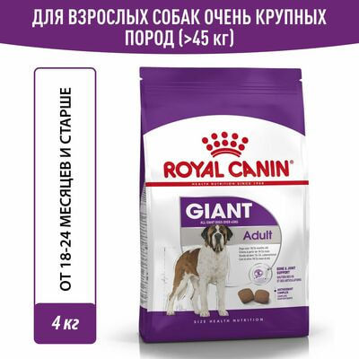 Сухие корма Royal Canin Royal Canin Giant Adult Корм сухой для взрослых собак очень крупных размеров от 18 месяцев, 4 кг Сухие корма Royal Canin Royal Canin Giant Adult Корм сухой для взрослых собак очень крупных размеров от 18 месяцев, 4 кг (фото)