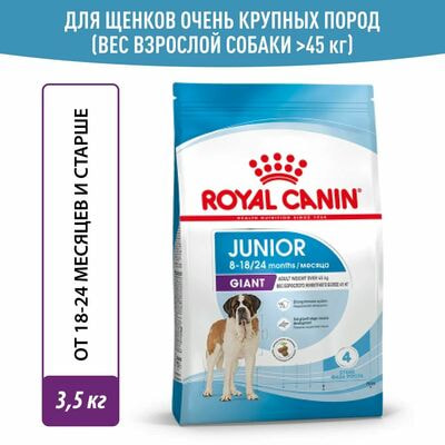 Сухие корма Royal Canin Корм сухой для щенков очень крупных пород в возрасте от 8 до 18/24 месяцев Royal Canin Giant Junior, 3.5 кг Сухие корма Royal Canin Корм сухой для щенков очень крупных пород в возрасте от 8 до 18/24 месяцев Royal Canin Giant Junior, 3.5 кг (фото)