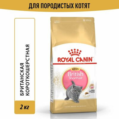 Сухие корма Royal Canin Корм для кошек Royal Canin British Shorthair Kitten сухой сбалансированный для британских короткошерстных котят, 2 кг Сухие корма Royal Canin Корм для кошек Royal Canin British Shorthair Kitten сухой сбалансированный для британских короткошерстных котят, 2 кг (фото)