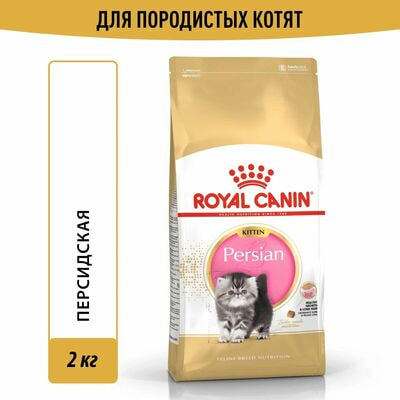 Сухие корма Royal Canin Корм для кошек Royal Canin Persian Kitten Корм сухой сбалансированный для персидских котят, 2 кг Сухие корма Royal Canin Корм для кошек Royal Canin Persian Kitten Корм сухой сбалансированный для персидских котят, 2 кг (фото)